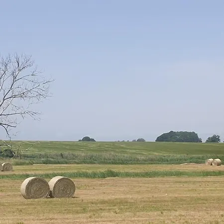 Reetidyll I Auf Usedom Stolpe auf Usedom