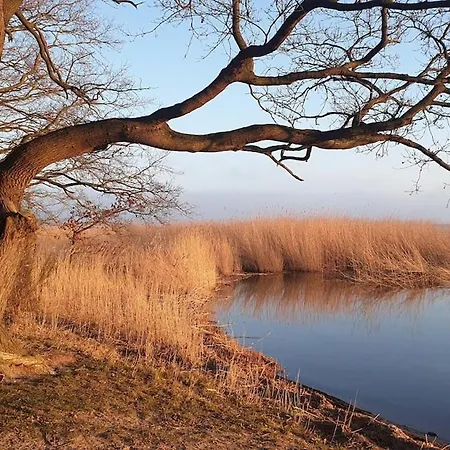 Reetidyll I Auf Usedom Vakantiehuis