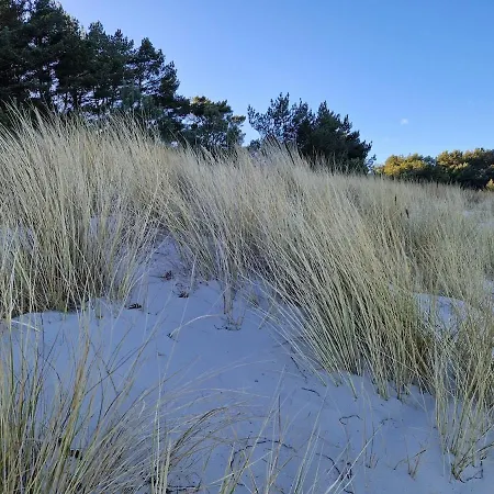 Reetidyll I Auf Usedom Stolpe auf Usedom